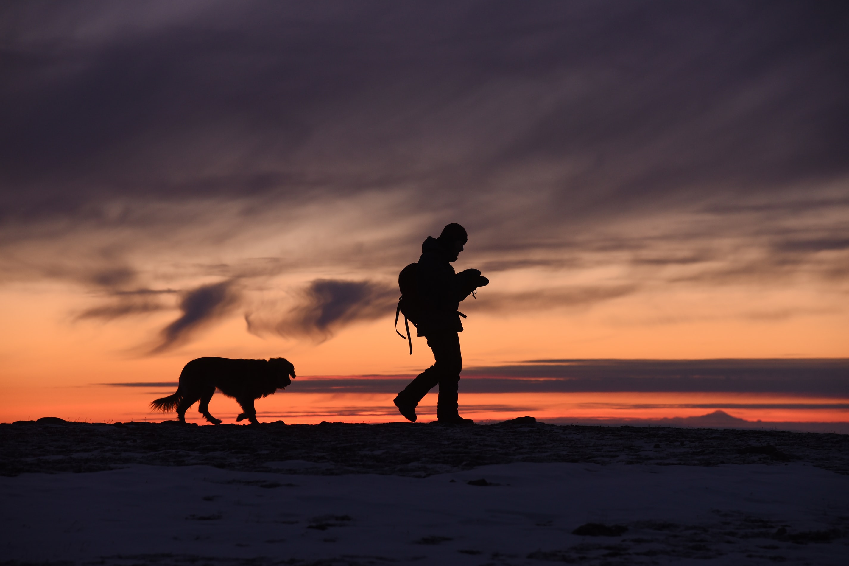 vandra med hund